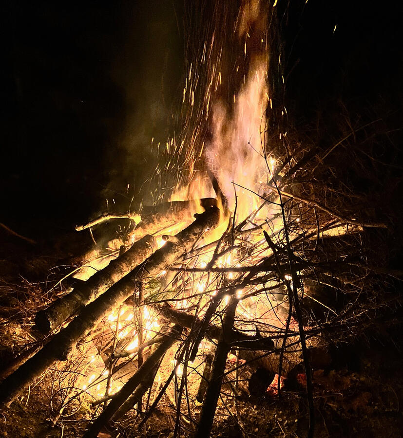 Burning Brush Burning Brush