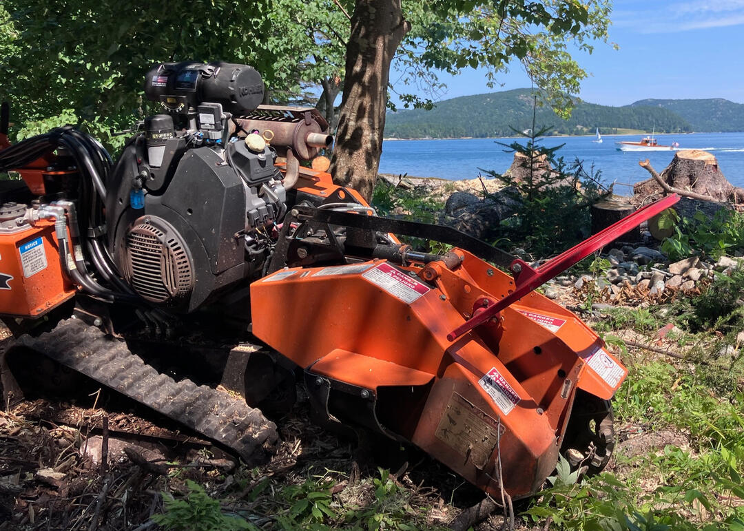 Mountain Wren - Tree and Garden Specialists logo